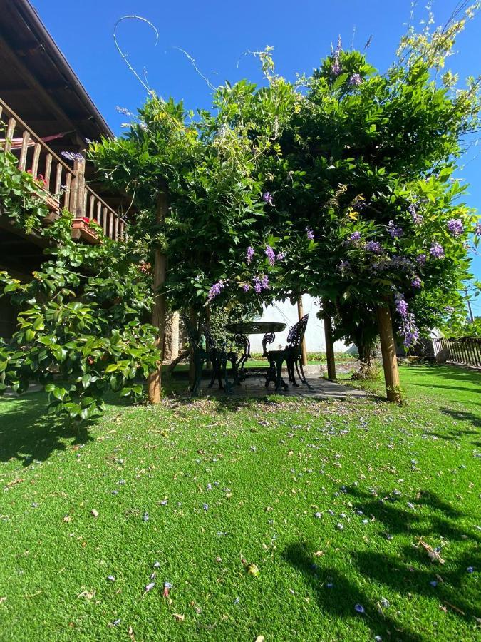Гостьовий будинок Casa Do Pomar Браганса Екстер'єр фото